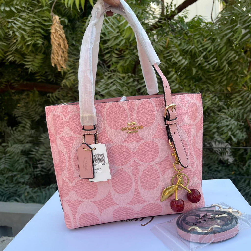 Coach Mollie Tote Bag 25