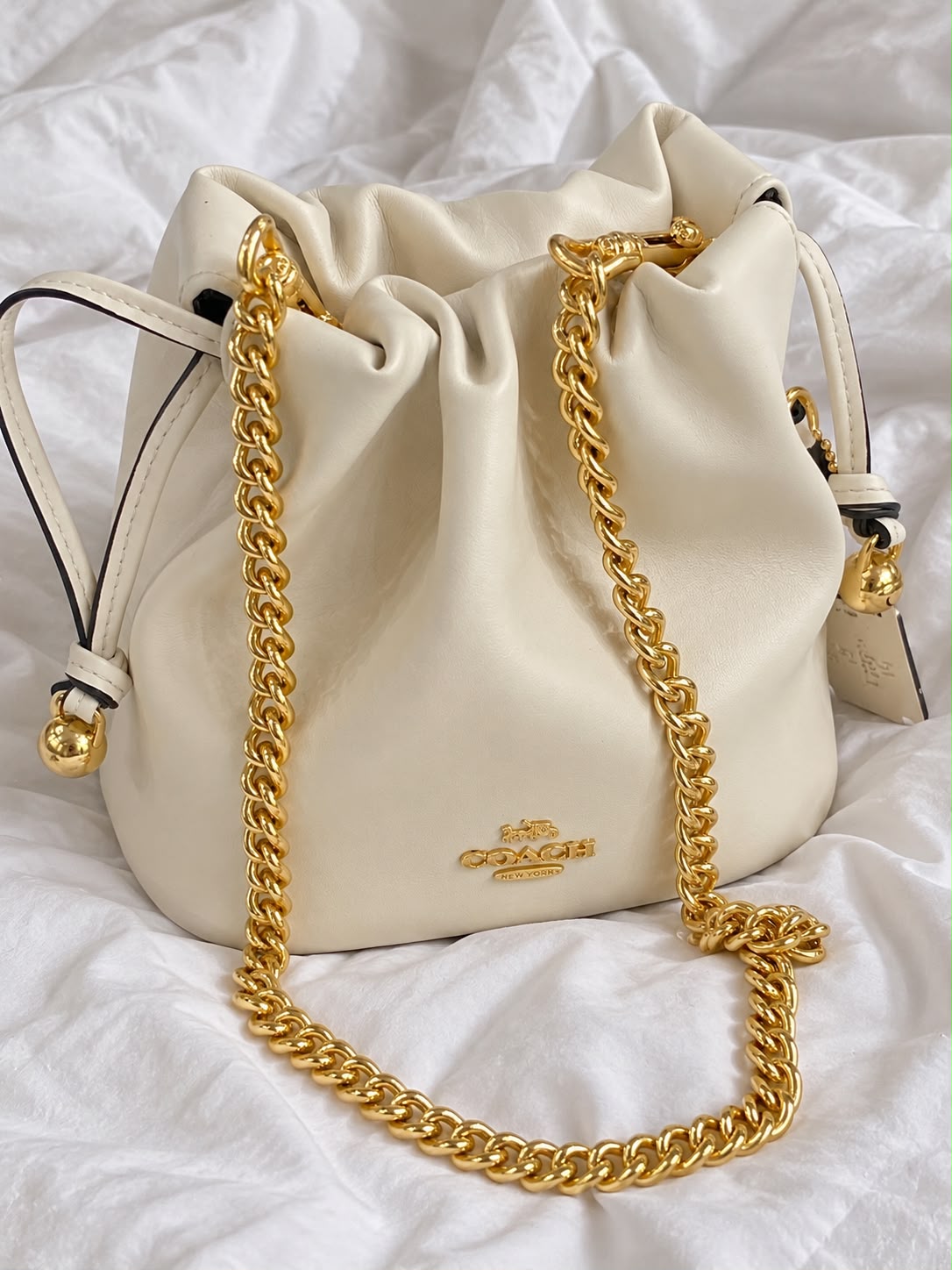 COACH Faye Mini Drawstring Bag