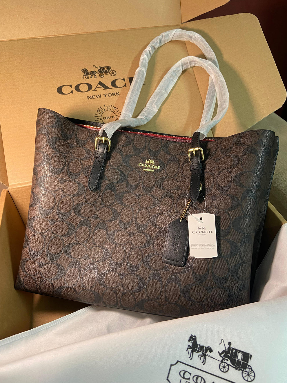 Coach Mollie Tote Bag In Signature Canvas
