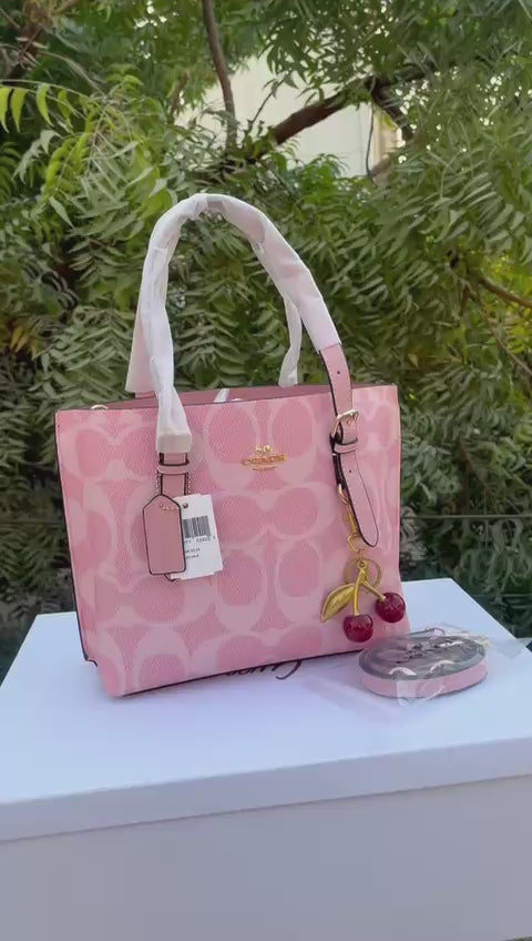 Coach Mollie Tote Bag 25